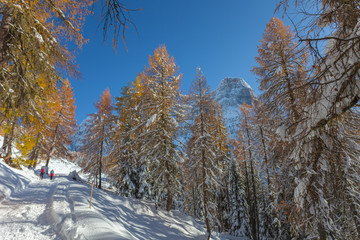 Unrecognizable pair of walkers who passes in a fantastic winter environment, Val Fiorentina, Dolomites, Italy.