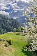 Odle of Funes in Southtirol in Italy by zippl