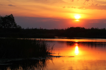 Marsh Grass on the left, lake on the right, bright glowing golden orange Sunset at the edge of the colouds and reflecting in the nearly calm lake.
