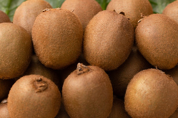 Whole brown kiwi fruits closeup. Pile of hairy fresh ripe kiwifruits. Agriculture or organic food concept