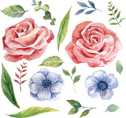 Water color red rose, blue flower, leaf and floral element botanical style arranged isolated on white background illustration vector. Suitable for Valentine's day and wedding design element.