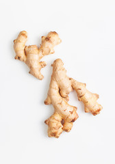 Young fresh ginger roots on white background