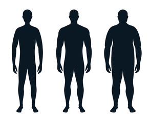 body, human figure. thin, fat and athletic man. vector.