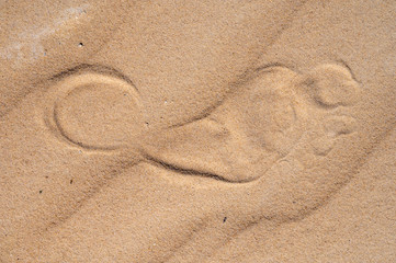 Fototapeta na wymiar One human footprint on sand in desert