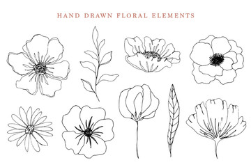 Hand drawn ink flowers and leaves sketches collection