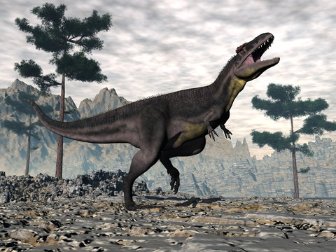 Tyrannotitan dinosaur roaring head up - 3D render