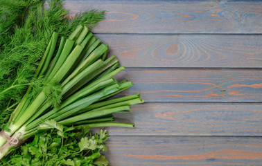 Fresh fragrant Culinary herbs on rustic background. Leaves of dill, chives, cilantro on dark wood table. Organic flavoring herbs and spices from farm market on wooden backdrop copy space. Vegan food.