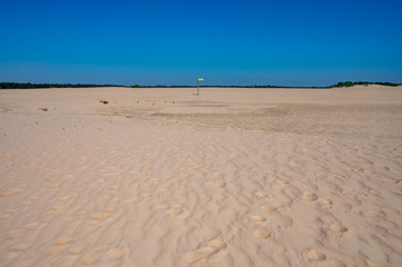 Fototapeta na wymiar Desert nature landscapes in national park De Loonse en Drunense Duinen, North Brabant, Netherlands