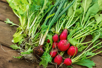 Bunch of round radishes with tops on the brown wooden table. Top view. Organic food concept.