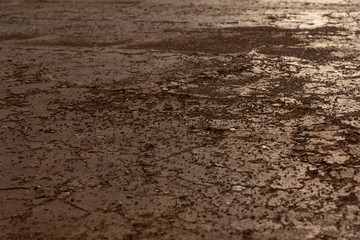 Dry cracked earth ground sunlight reflection background texture