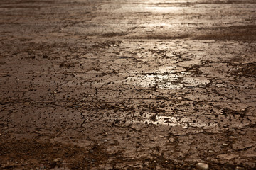 Naklejka premium Dry cracked earth ground sunlight reflection background texture