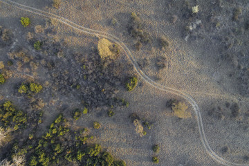 Aerial photography of a road in a forest