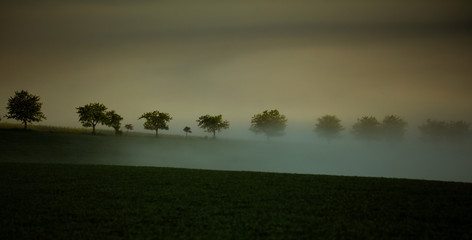 Morawy © marcinbawiec