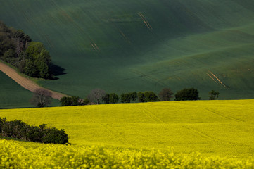 Morawy © marcinbawiec
