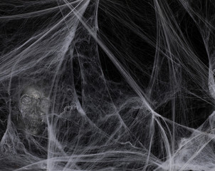 skull in a white spider web on a black background