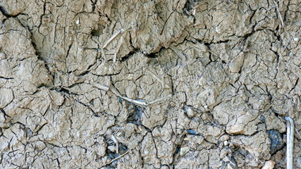 Dry Cracked Clay Texture
