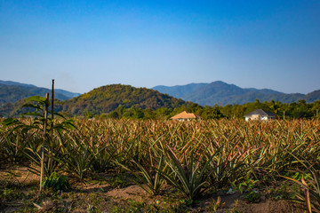 A beautiful view of Chiang Rai city at Thailand.