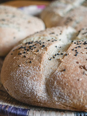 Home made wholemeal bread Bread