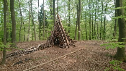 Höhle im Wald