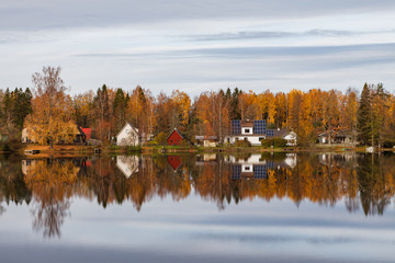 Golden trees along the lake, lake system near Aegviidu, Estonia. Autumn season, moody weather.
