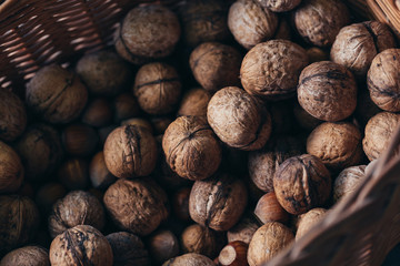 Freshly harvested walnuts close-up in rustic basket in spots of sunlight.