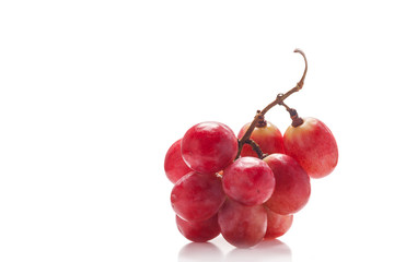 agriculture, vine, grape, plant, fruit, organic, white, fresh, food, vinery, ripe, harvest, grapes, berry, bunch, cluster, backround, wine,