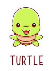 Cute kawaii hand drawn turtle doodles, lettering little turtle, isolated on white background