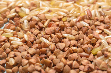 Various seeds and grains close up, food background