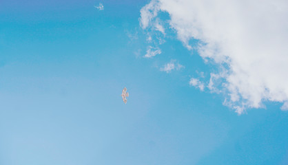 Fotografía de un papalote volando en el cielo azul rodeado de nubes blancas 
