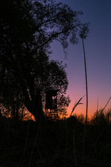 A hunters stand in sunset
