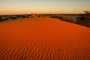 orange sunset in the desert kalahari namibia