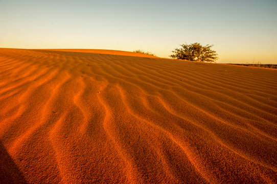 View Over Dunes Kalahari Namibia