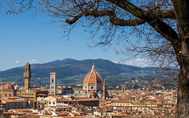Cathedral of Saint Mary of the Flower (Cattedrale di Santa Maria del Fiore) and tree without leaves in the foreground. Florence, Tuscany, Italy. - 344266523