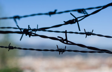 Closeup of a barbed wire against blue sky - 344266708