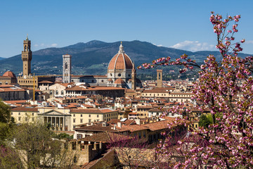 Cathedral of Saint Mary of the Flower (Cattedrale di Santa Maria del Fiore) and Judas Tree (European redbud) in the foreground. Florence, Tuscany, Italy. - 344266956