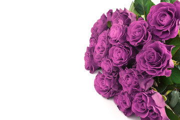 Bouquet of purple roses isolated on white background. Happy mothers day, women's day, wedding and valentines day. Greeting card with copy space.