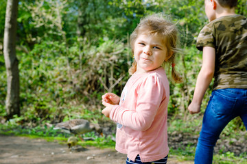 Two siblings kids, Cute little toddler girl and school boy feeding wild geese family in a forest park. Happy children having fun with observing birds and nature