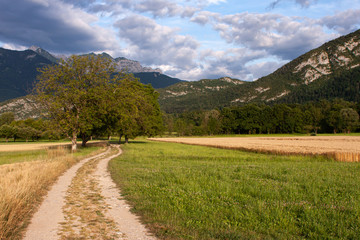 Country road in the mountains