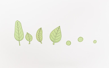 Leaf Set. Hand-drawn decorative elements, doodle floral elements. Black line ink hand drawn art. White background ready for copywriting. Perfect for invitations, greeting cards, posters, prints.