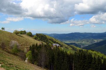 Fototapeta na wymiar Schwarzwaldlandschaft auf dem Hinterwaldkopf