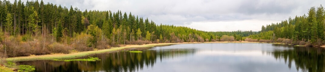 Fototapeta na wymiar Tanner Moor Rubner Teich Panorama