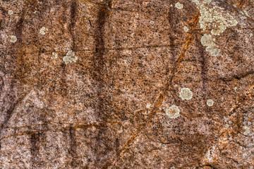 Cracks, rust and lichen adorn this iron rich bolder along the shores of Georgian Bay.