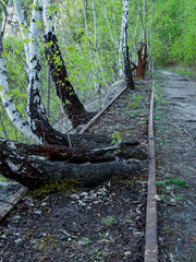 Old rail tracks used in Liban quarry. Cracow. Poland