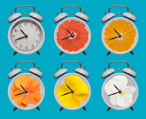 Old fashioned white alarm clocks Pansies, grapefruit and orange instead of a dial
