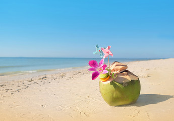 coconut cocktails on tropical sandy beach. Summer vacation concept. copy space.