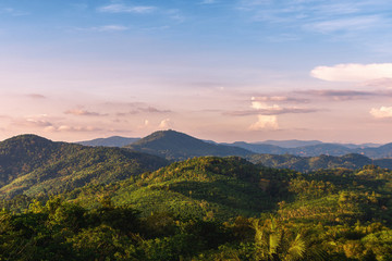 Tropical landscape. Sunset in the mountains. Palm trees and trees on the mountain slopes.