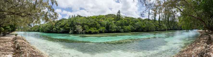 panorama of forest of Isle of pines in new caledonia. turquoise river along the forest. panoramic format