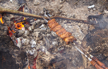 there are good coals in the fire. On them are pried some pieces of meat. They're on the skewers. This is a picnic in the forest