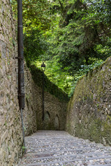 cobblestone street with stone walls, in the background is abundant green vegetation