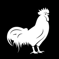 cock